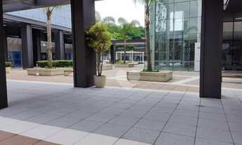 Imagem 2: Sala para alugar, 502 m² por R$ 41.500,00/mês - Santo Cristo - Rio de Janeiro/RJ