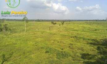 Imagem 3: FAZENDA À VENDA EM TAILÂNDIA - PA - 1.694 HEC /LAVOURA DE SOJA
