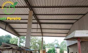 Imagem 6: FAZENDA Â VENDA EM FIGUEIRÃO - MS - 416 ALQUEIRES (Pecuária