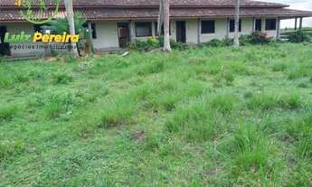 Imagem 2: FAZENDA À VENDA EM GOIANÉSIA - PA - 3.920 HECTARES - (LAVOURA DE SOJA