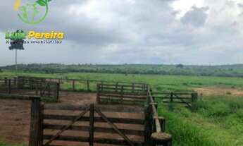 Imagem 3: FAZENDA À VENDA EM CONCEIÇÃO DO ARAGUAIA-PA-4.855 HECTARES (DUPLA APTIDÃO