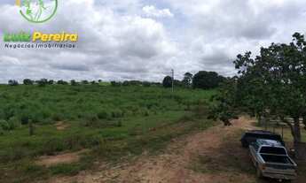 Imagem 3: FAZENDA À VENDA EM SÃO VALÉRIO -TO - 1.026 HEC (EXCELENTE PARA AGRICULTURA