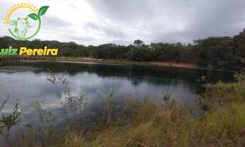 Imagem 2: FAZENDA Â VENDA EM FIGUEIRÃO - MS - 416 ALQUEIRES (Pecuária