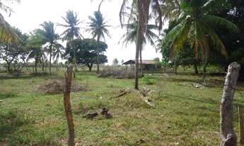Imagem: Vendo Granja em Touros, 49 hectares, Escritura