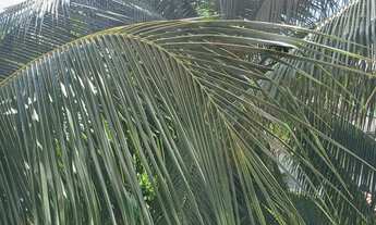 Imagem 5: Alugo apartamento freguesia jacarepagua