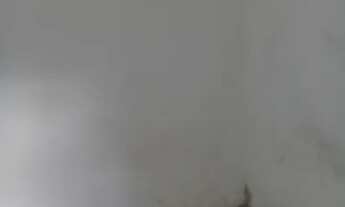 Imagem 3: Aluga-se casa Casa com 1 dormitório