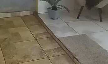 Imagem 5: Vendo ótima casa com uma kitinet no jardim dos Vieiras