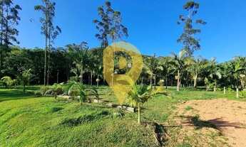 Imagem 5: Chácara à venda, Colônia Quintilha, Morro Inglês (Paranaguá), PR