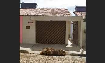 Imagem: Casa para aluguel possui 180 metros quadrados