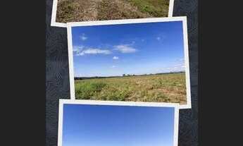 Imagem: Vendo chácara de 5 mil metros no Colmeia