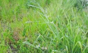 Imagem 3: Urgente, Vendo Terreno Linear 120m2 Em Condomínio Fechado Rio Da Prata De Campo Grande