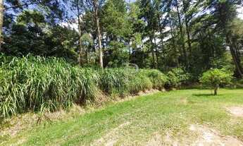 Imagem 7: Terreno à venda, 1200 m² - Jundiaizinho - Mairiporã/SP