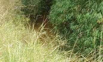 Imagem 5: Área à venda, 128.342 m² por R$ 750.000 - Boa Vista - Caçapava/SP