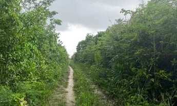 Imagem: Propriedade rural em Alcântara/MA