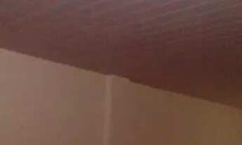 Imagem 2: Aluguel - Loja - Baixa de Quintas