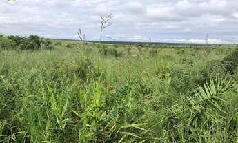 Imagem: FAZENDA Á VENDA EM BALSAS - MA - 410 HECTARES