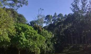 Imagem 4: Lotes especiais com condições imperdíveis!