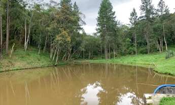 Imagem 5: Excelente sitio a venda com 11 Alqueires. Tel. *