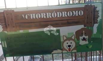 Imagem 2: PORTO ALEGRE - Apartamento Padrão - Camaquã