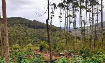 Imagem: Chácaras a venda na cidade de Caraá- RS