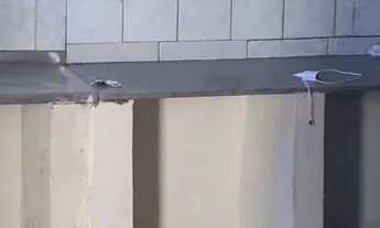 Imagem 3: Alugo uma kitnete