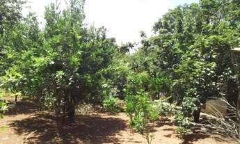 Imagem 5: Pertinho da Serra do Cipó, maravilhoso sitio de 4.500m²(Temos varias opções)