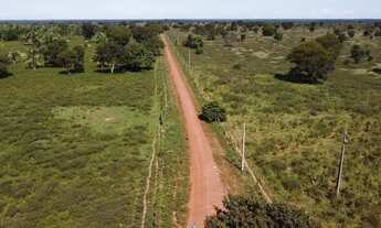 Imagem 4: FAZENDA DUPLA APITDAO A VENDA