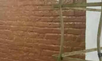 Imagem 7: LS Camaçari, Gleba C