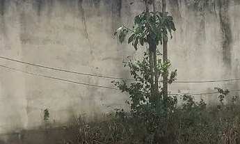 Imagem 5: Lote com casa Casa com 2 dormitórios