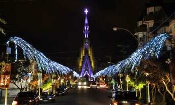 Imagem 6: Canela - Conjunto Comercial/Sala - Centro