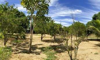 Imagem 7: Chácara com 2 dormitórios à venda, 13000 m² por R$ 1.000.000,00 - [no name] - Brasília/DF