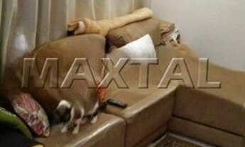 Imagem 6: Apartamento na Zona Norte, Bairro Vila Nova Cachoeirinha, 2 Dormitórios, 1 Vaga Coberta, c