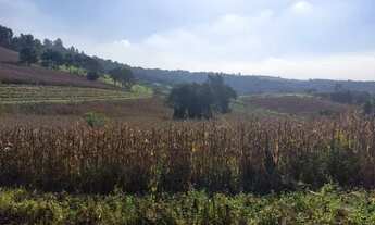 Imagem: Lote/Terreno para venda possui 600 metros