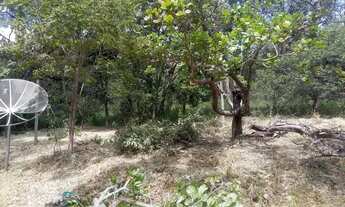 Imagem 6: Terreno de 3 hectares com água