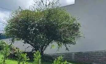 Imagem: Terreno à venda Loteamento Jardim Timbaúva