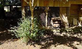 Imagem 6: Vendo chácara Chácara com venda por R$140.000