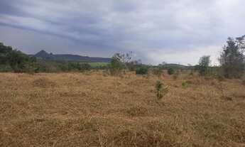 Imagem 5: Sítio bom para café ,abacate ,grãos