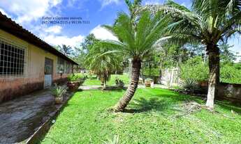 Imagem 4: Sítio Terreno Chácara KM 08 BR 174 Ramal da Capivara Manaus-AM 7.139m² Financia