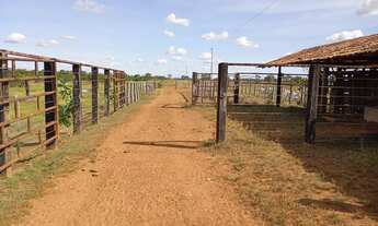 Imagem 3: Fazenda toda estruturada para pecuária, 7.821,44 hectares /1.616 Alqueires (4.84 Ha) Aragu