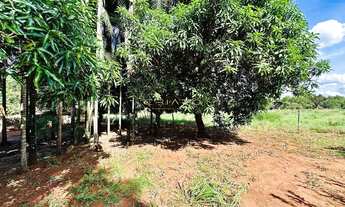 Imagem 2: Chácara Produtiva à Venda em Rio Verde