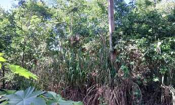 Imagem 5: Chácara no Senador Canedo - GO