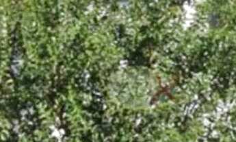 Imagem 2: Casa com 3 dormitórios à venda, 180 m² por R$ 840.000,00 - Boa Vista - Curitiba/PR