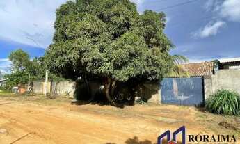 Imagem 2: Bairro Santa Cecilia, 03 Quartos