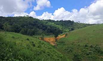Imagem 2: Imóvel para venda com 6000 metros quadrados em Centro - Taperoá - BA