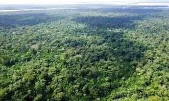 Imagem 3: Sítio 266 x 1.000 na Estrada de Autazes 100.000