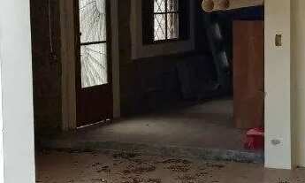 Imagem 7: Sítio a venda em Santo Antônio de Lisboa