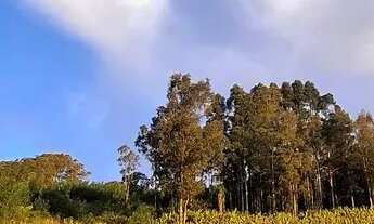 Imagem 3: Chácara Chácara com venda por R$380.000