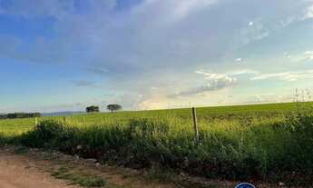 Imagem 4: Chácara à Venda em Goiás Velho - GO