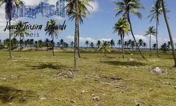 Imagem 7: Terreno no Litoral Norte Baiano com 177 hectares e a 750 metros frente de praia!