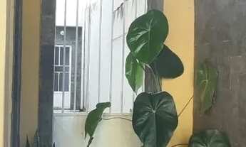 Imagem 3: Casa bairro Joquei I, 4 quartos